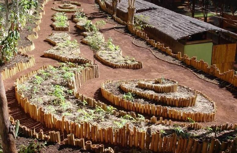 Horta em Padrões Naturais